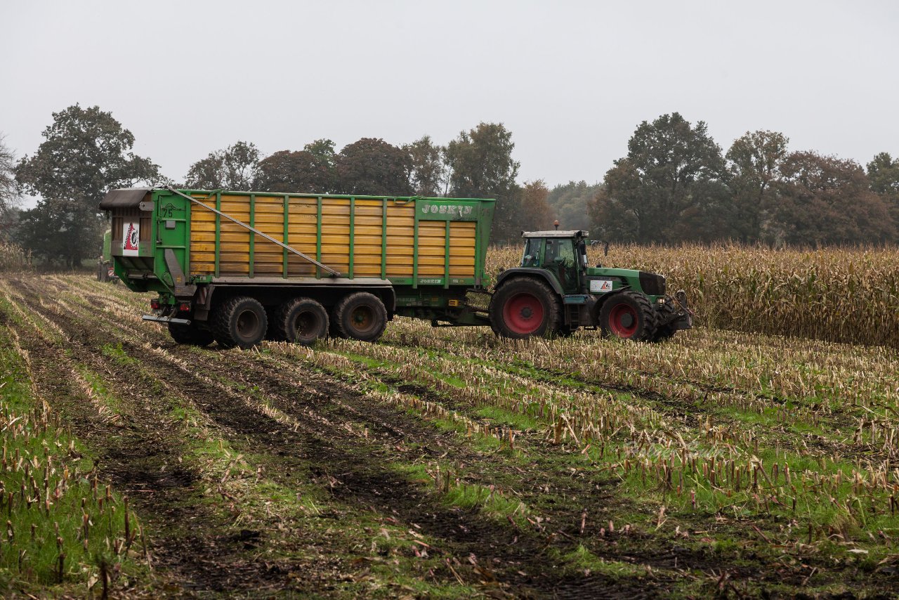 Bild 144 - Biogas am 21.10.12